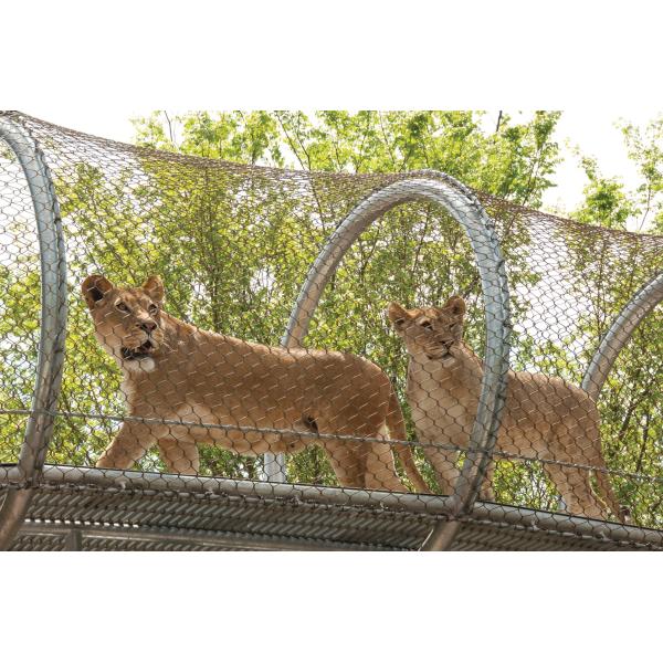 AISI 304 316 Animal Enclosure Mesh Easy Installation For Keep Animals Safety