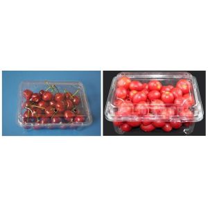 Vegetables Fruits Salad Plastic Container Packaging Machine