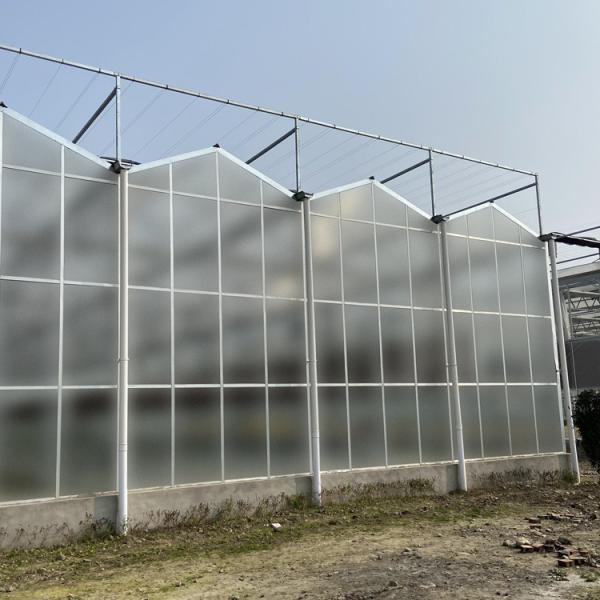 Stability Venlo Type Greenhouse / High Standard Venlo Glasshouse Good Appearance