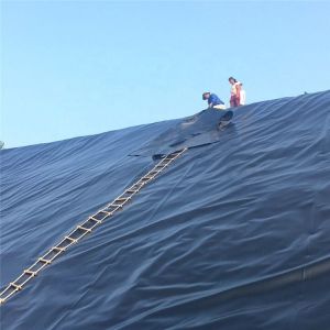 Double Smooth Surface HDPE Pond Liners for Fish Tank Geomembrane and Pond Liners