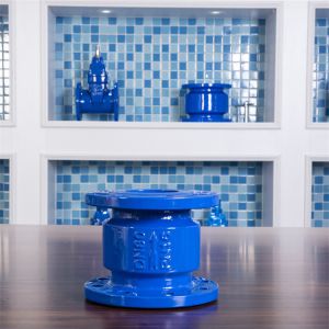 Ggg40 Muffler Check Valve Double Flange Dn100 No Return Check Valve