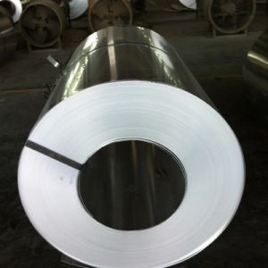 Cheap FOB Trade Term 304 Stainless Steel Coiled Sheet with 220V 50HZ 220W Voltage for sale
