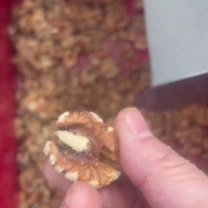 Deep Learning Powered Multi-Grade Walnut Kernel Sorting Machine 750kgs / Hour