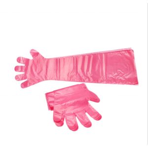 Disposable PE Long Gloves VET Clinic Long Gloves With And Without Shoulder
