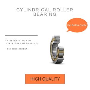 Automotive High Rigidity Single Row Cylindrical Roller Bearing, China Supply,  Lower Friction And Longer Service