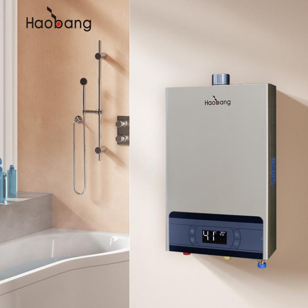 Quality Energy-Saving Forced Exhaust Gas Water Heater With Gas Heating Method And Free Spare Part Offer wholesale