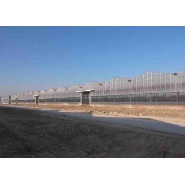 Quality PC Sheet Covered Pv Solar Power System Ommercial Greenhouse 4 M Bay 8 - 12 M Span wholesale