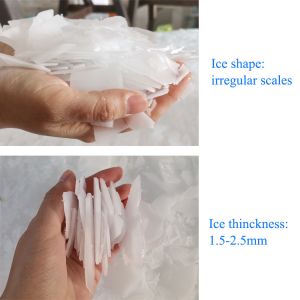 ICEMA 30T/24hours Flake ice machine energy conservation