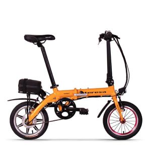 12 Inch Folding Electric Bike Lightest Battery 36v 250w Bicycles RICHBIT Teresa