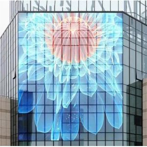 5000cd/Sqm Adhesive LED Transparent Film Screen , Advertising LED Video Wall
