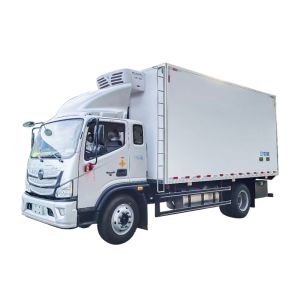 China 2 Axle 6 Wheels 4x2 Foton Cooling Van Freezer Truck Refrigerated Box Truck with Dimensions L x W x H mm 5995*2456*3600 on sale
