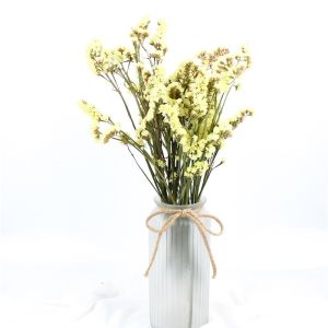 Statice Limonium Beautiful Dried Flowers Beautiful With Long Using Time