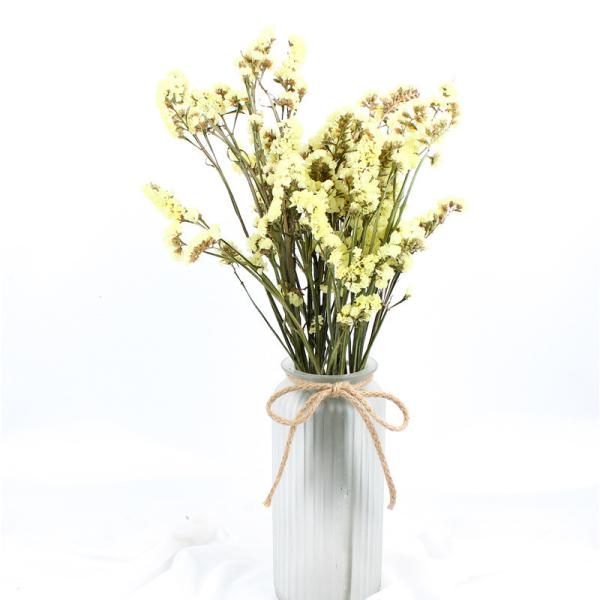 Quality Statice Limonium Beautiful Dried Flowers Beautiful With Long Using Time wholesale