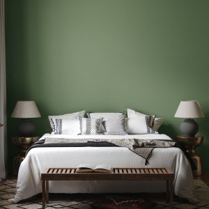 Cheap 5kg Interior Wall Paint As Before Ultra Self Clean Moisture Proof Mildew Proof Grade 0 for sale