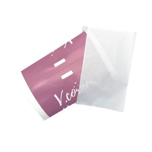 Clear Shipping Label Envelope Plastic Self Adhesive Shipping Label Pouch
