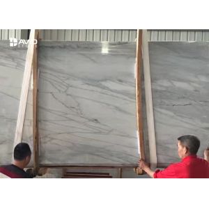 Similar Carrara White Marble Slabs With Grey Veins For Flooring / Wall Cladding