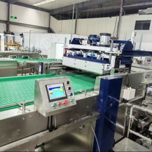 Canned Meat Basket Loading And Unloading Machine Systems Basket Loader Unloader