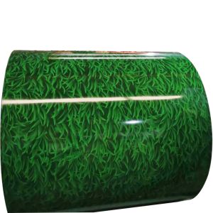 Hot Dipped SGCC SPCC Dx51d Printing/Matte/Prepainted/Color Coated Gi/PPGI Steel