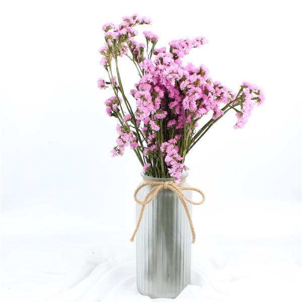 Quality Fashion Style Beautiful Dried Flowers Statice Limonium Forget Me Not wholesale