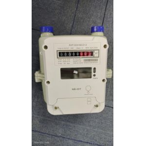 LORA WAN Smart Gas Meter Prepaid Meter White Steel For Tanzania