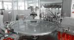 Automated Stand Up Pouch Filling & Capping Unit Making Machine / Production Line