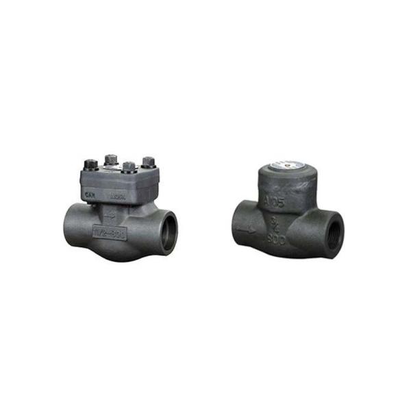 Quality Bolted Bonnet Vertical Lift Check Valve SS304 Flexible Graphite Material Gasket wholesale