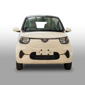 EEC EV Cars Chinese Right Hand Energy Car with 205KM Range and 100km/h Max Speed