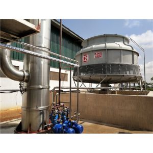 Berry Fruit SS304 1500T/D Tomato Processing Line