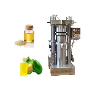 China 2.2 KW Lewin Cold Oil Press Machine for Avocado Oil Extracting Machine on sale