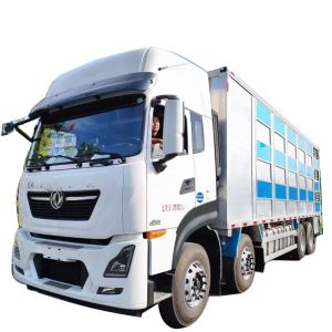 Export Customization 8x4 35 TONS Live Poultry Transportation Truck Piglets Transport Truck With Aluminum Alloy Compartment Box