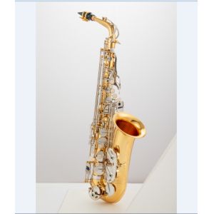 High-end saxophone, E flat, children, beginners, adults, playing musical