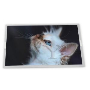 Cheap New 14.0 Inch WLED LCD Display Module N140HCA-EAE for Various Applications for sale