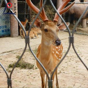 Stainless Steel Wire Rope Mesh Net Rock Fall Protection For Architectural