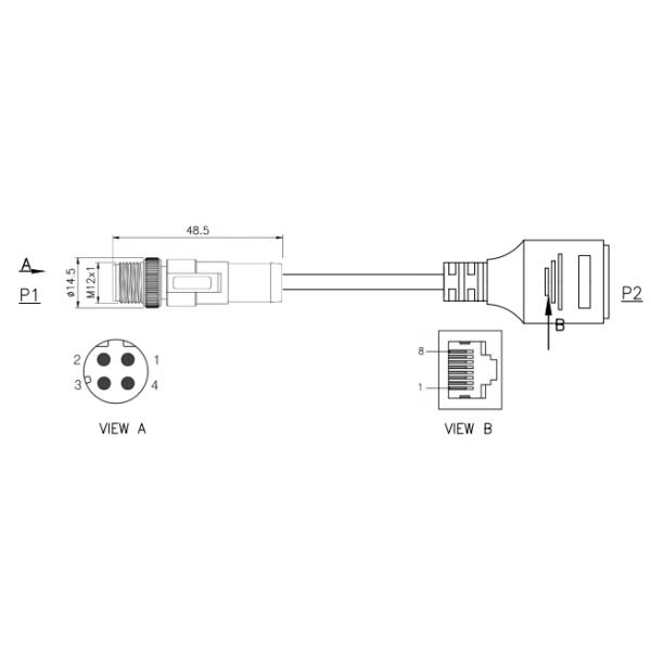 M12 Connector with 8-Pin Waterproof Molded Plug Cable Type Product