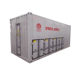 Intelligent Forced Air Cooling Medium Voltage Load Bank For Generator Testing
