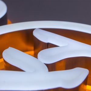 Custom Logo Luminous Characters with Stainless Steel Acrylic LED Strip