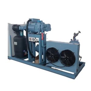 Automatic Blast Freezing Machine Quick Freeze Bitzer Compressor Motor Home Use