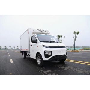 Geely F1E Pure Electric Micro Refrigerated Box Truck Color Custom's Requirement