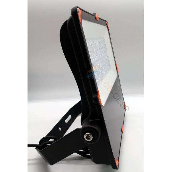 IP66 LED Security Flood Light