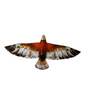 Easy Carry Polyester material 3D Eagle Kite , Single String Kite For Beginner