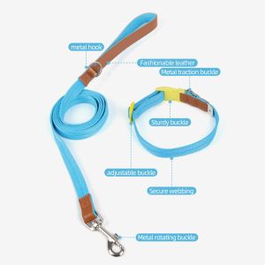 Pet Lightweight Multicolor Anti-Escape Pet Collar And Leash Set For Training