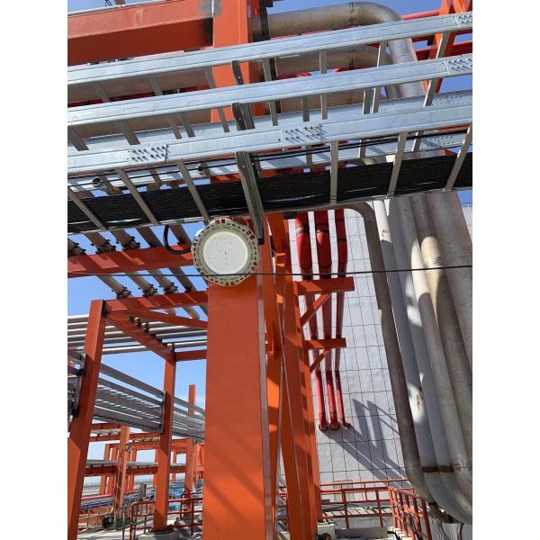 Durable LED Explosion Proof High Bay Lights for 50-60Hz Rated Voltage in