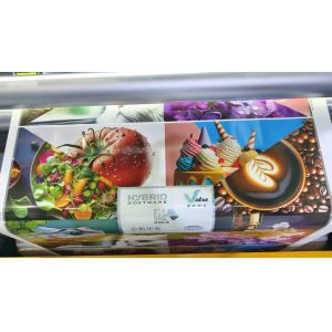 Automatic High Quality Roll to Roll Petal Type Full Servo Model Flexo in Line