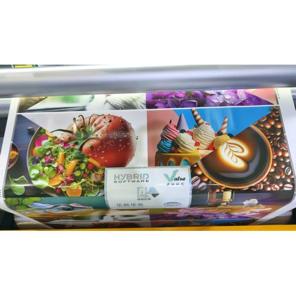 Automatic High Quality Roll to Roll Petal Type Full Servo Model Flexo in Line