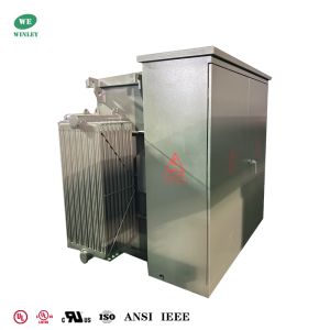 2000Kva Three Phase Pad Mounted Transformer