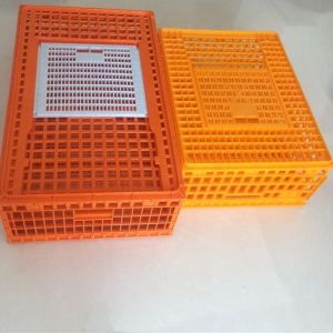 China Plastic baskets for poultry turnover（Red ，Orange，yellow ） on sale