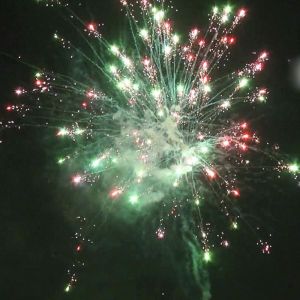 Outdoor 99 Shots Pyrotechnics Consumer Cake Fireworks