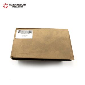 DC24V A249900001535 Auto AC Control Panel ZG30SY2B.1201