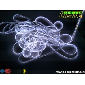 Anti Explosive 5500k 22Lum LED Flexible Strip Light SMD5050 with IP68 impact