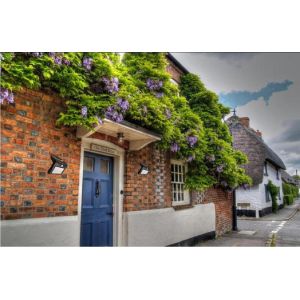 Solar Sensor Wall Led Lights Wireless IP65 Waterproof Outdoor Lighting Motion